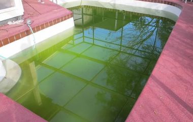 Особливості вибору засобу для басейну проти цвітіння води